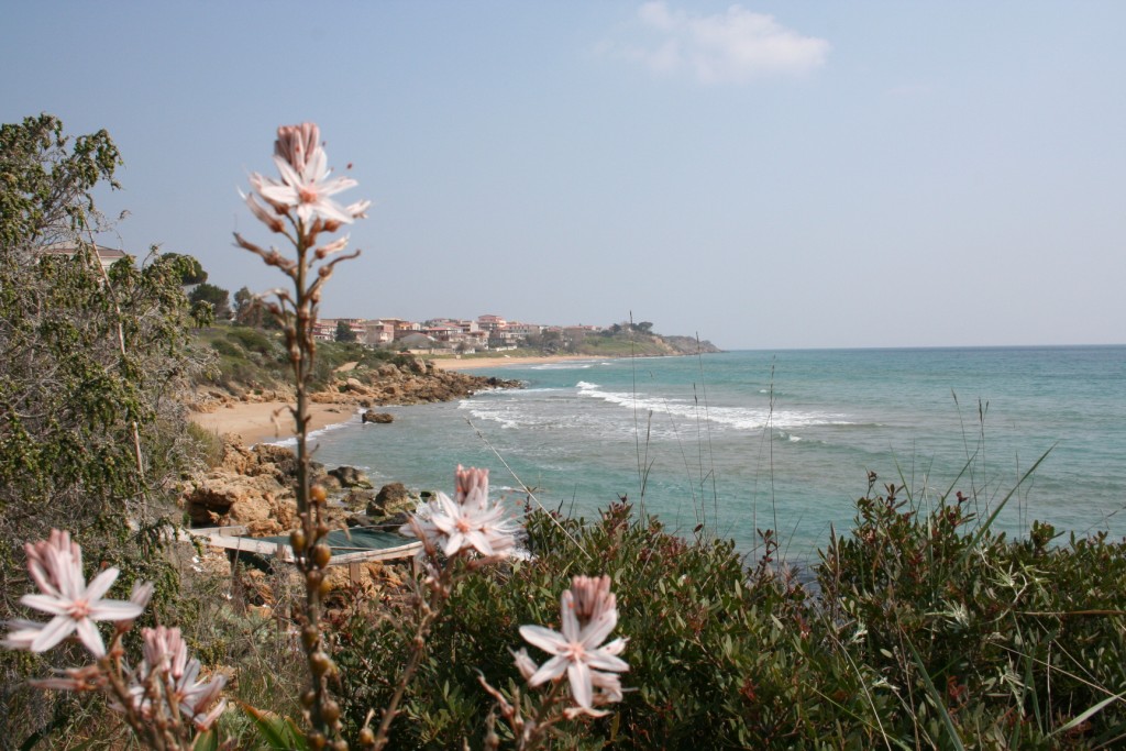 Fiori sul mare-Isola Capo Rizzuto (Crotone)